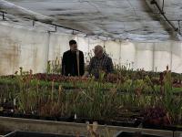 Me and Christian looking over his Sarracenia benches.