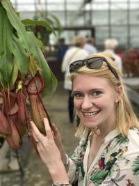 Next we headed towards the Nepenthes greenhouse, which is the area I was most looking forward to seeing. Before we got there, we found several Nepenthes growing in the main Sarracenia space. As you can see, my wife was delighted to find this Nepenthes 'Linda' cultivar.