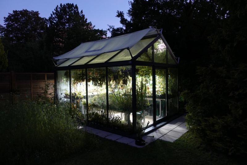 Greenhouse by night.