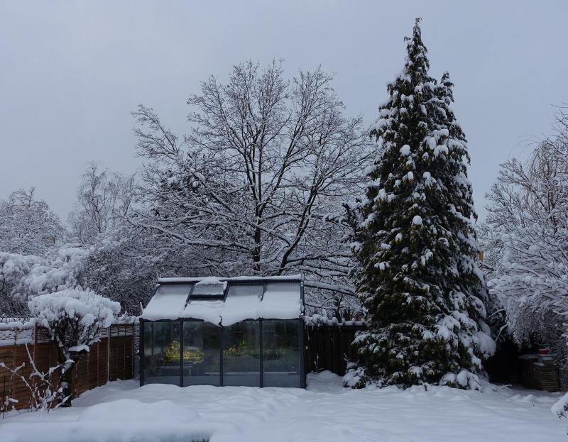 The greenhouse in winter.