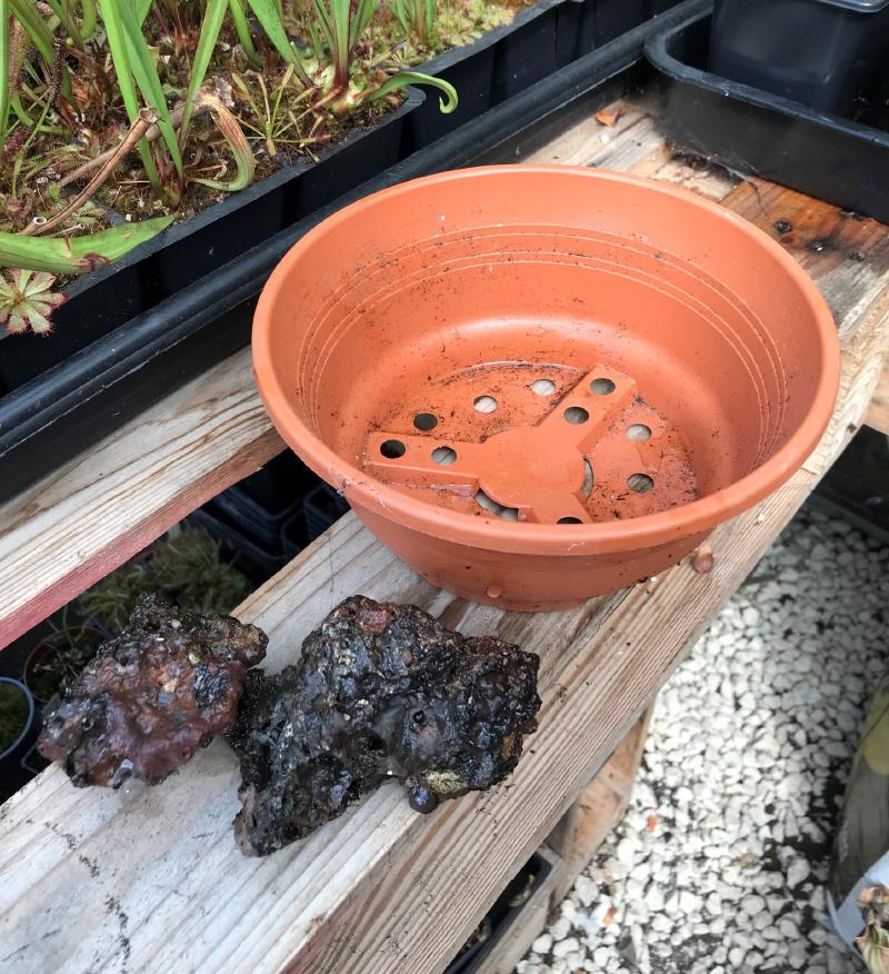 My chosen materials: planter and lava rock.