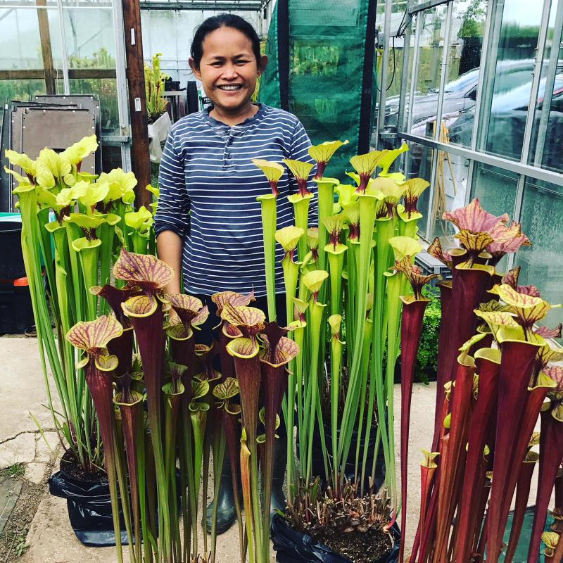 Fon with some of their stunning display plants.