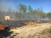 A prescribed burn at the Joseph Pines Preserve, May 2018.