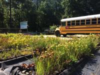 School groups visiting Meadowview during the summer.