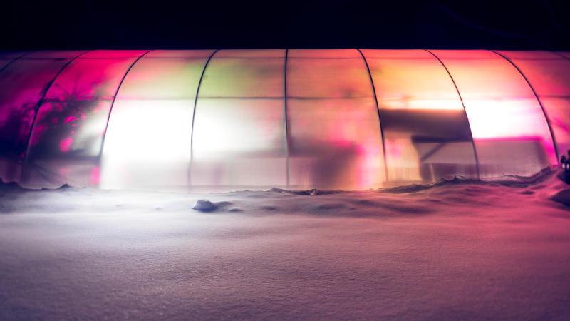 The Native Exotics greenhouse in snow.