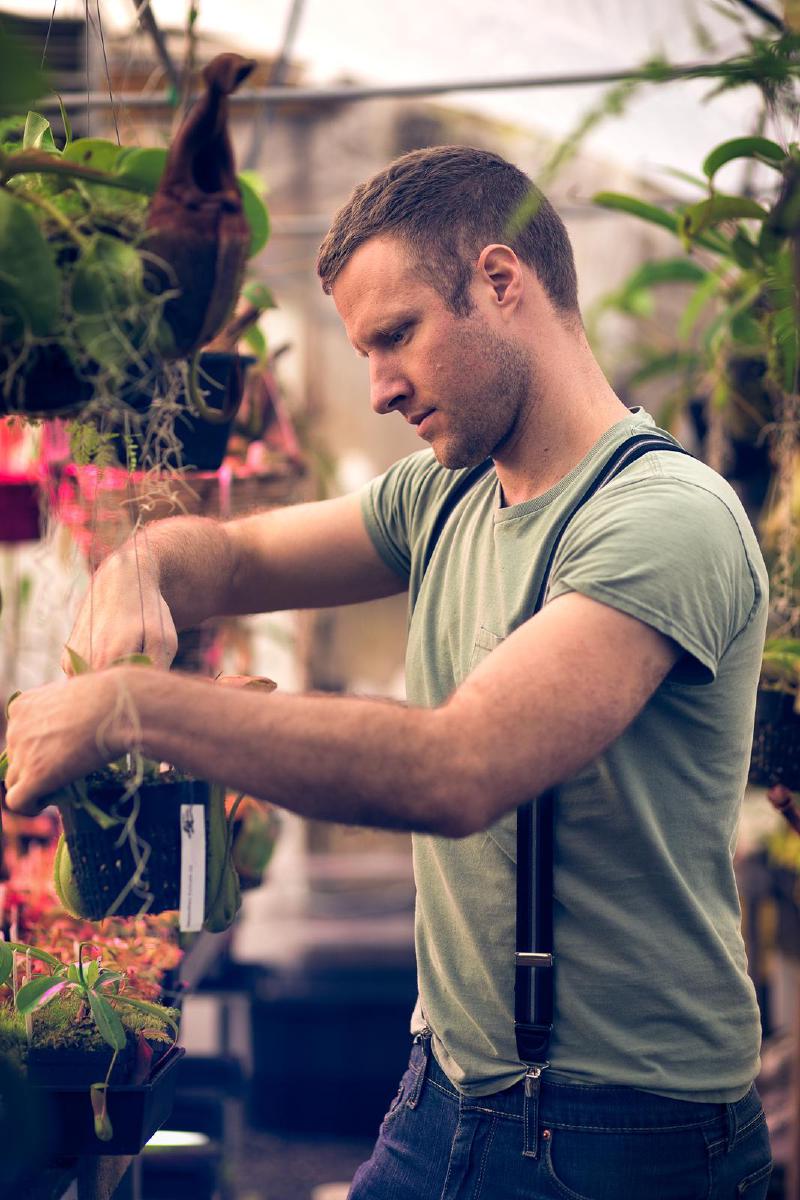 Ryan propagating young Nepenthes plants in the nursery.
