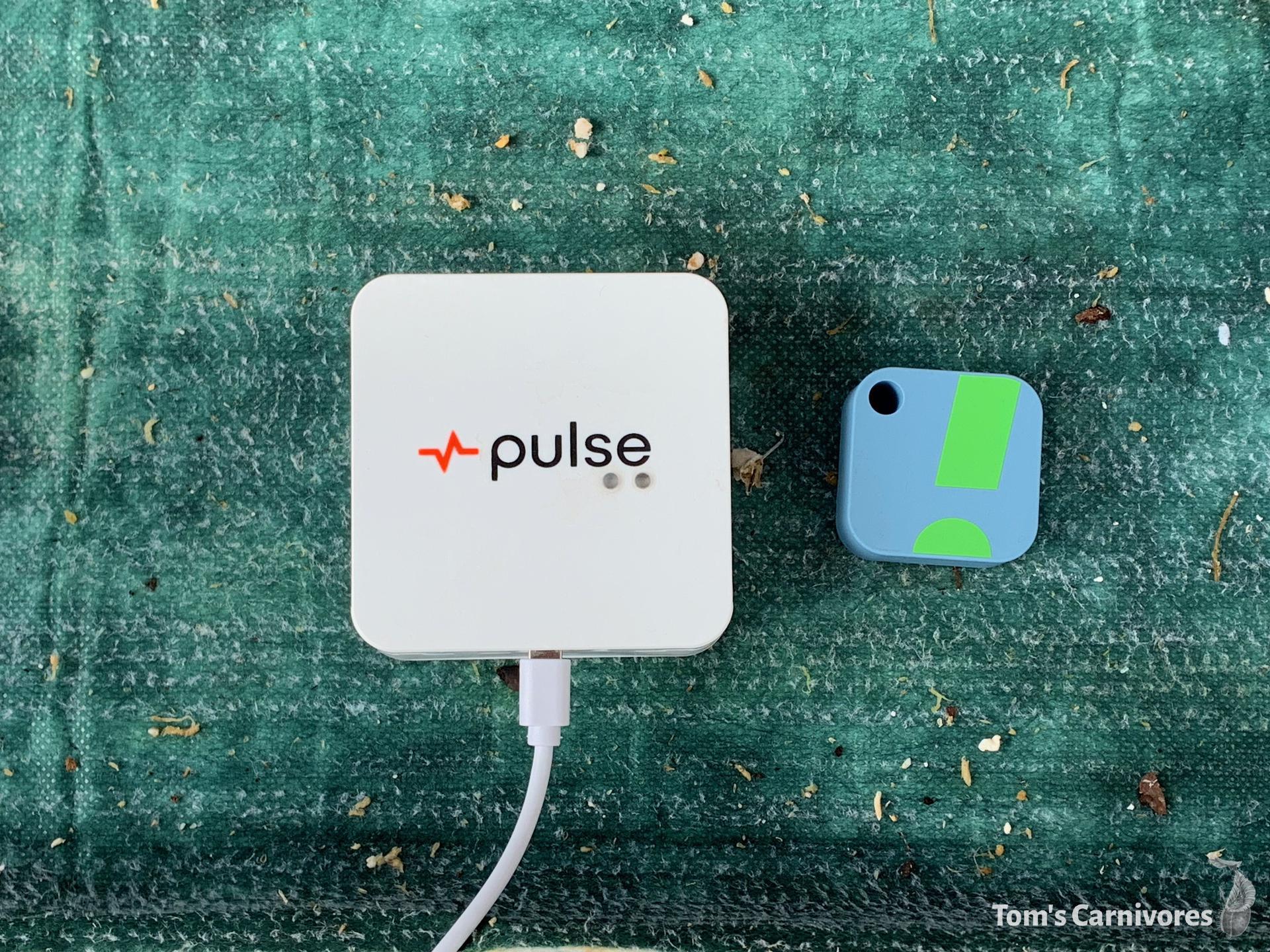 Review of climate sensors: Pulse One vs SensorPush