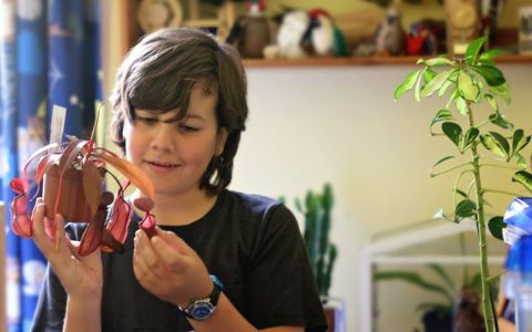 Carnivorous plants for kids, w/ Green Fingered George