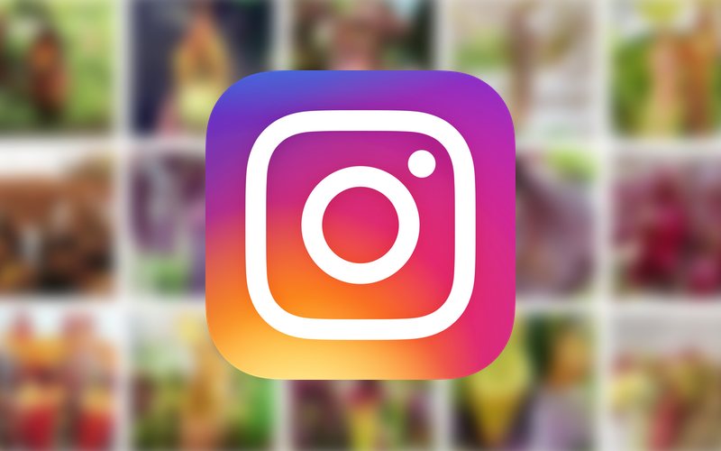 There is a thriving carnivorous plant scene on Instagram. I spoke to the growers behind some of my favourite accounts about their collections and growing setups...