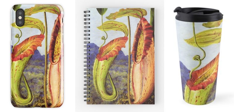 Nepenthes northiana on an iPhone X case, notebook, and travel mug,