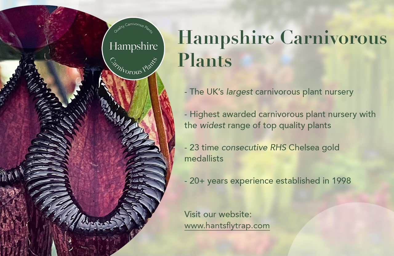 Carnivorous plants discount code