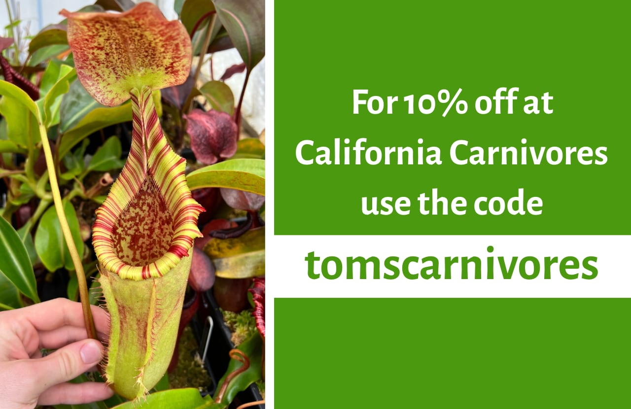 Carnivorous plants discount code