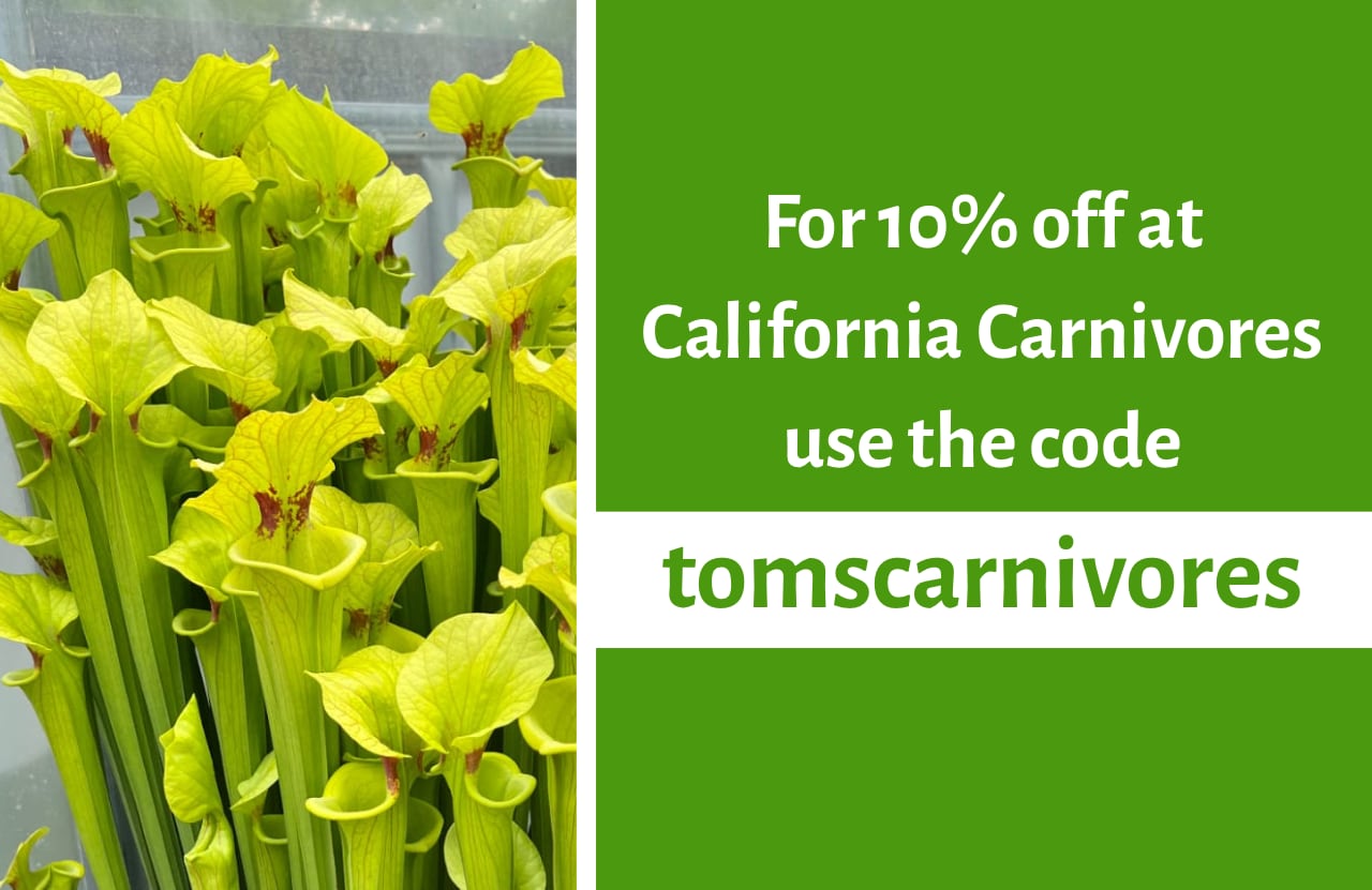 Carnivorous plants discount code