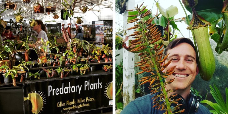 Left: Predatory Plants at the Pacific Orchid Expo in San Francisco in 2016. Right: Josh with a Nepenthes truncata.