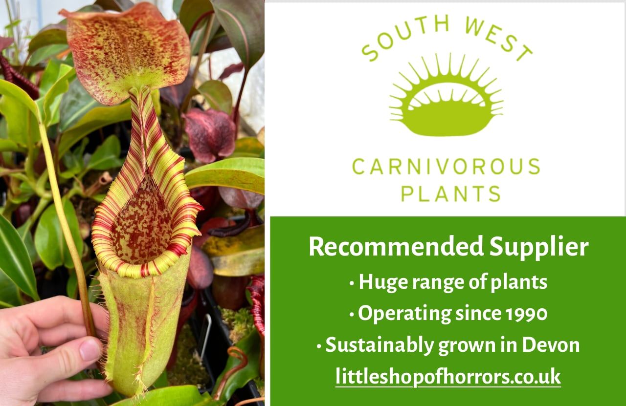 Carnivorous plants discount code