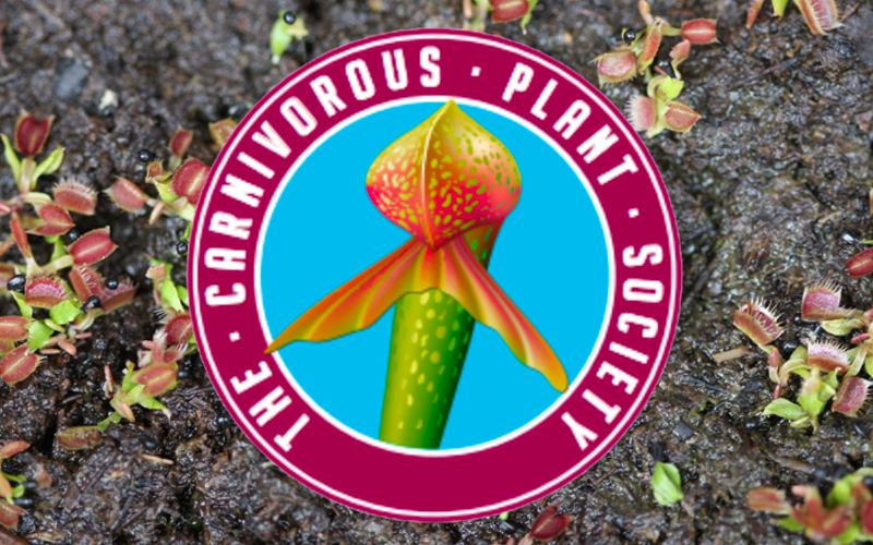 If you want to grow carnivorous plants from seed - and support a great cause while you're at it - then joining the CPS is one of the best things you can do.