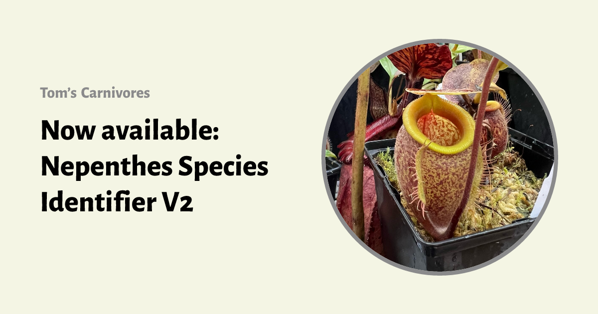 Now available: Nepenthes Species Identifier V2 | Tom's Carnivores